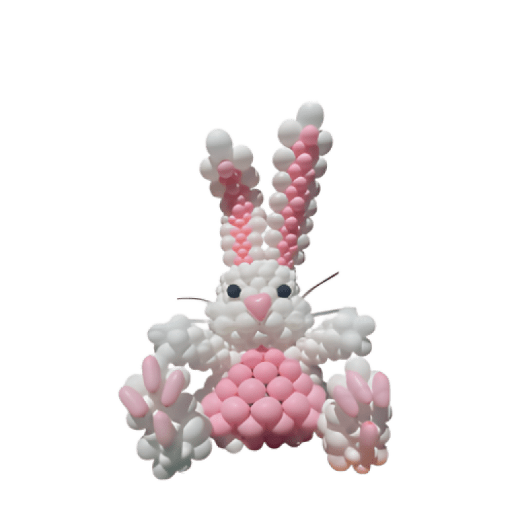 13-Bunny-Rabbit