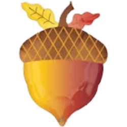18 inch acorn