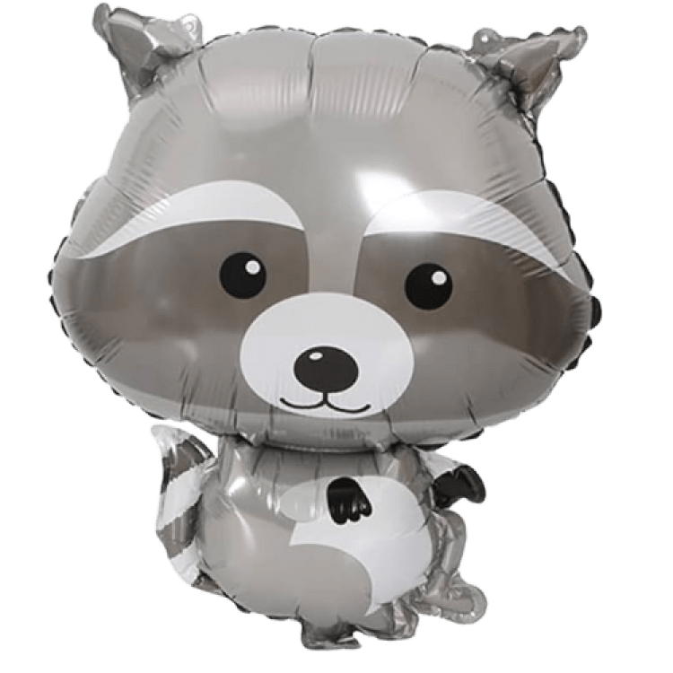 21 Raccoon