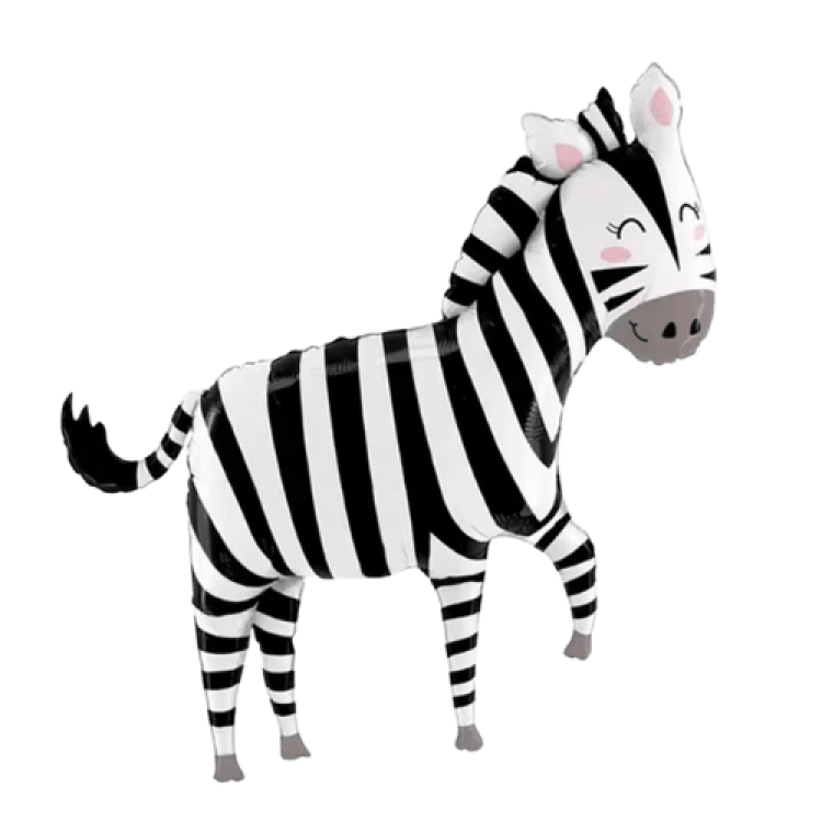 34 Zebra
