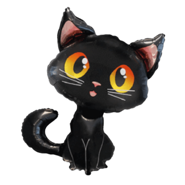 36 Black Cat
