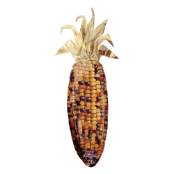 49_ Corn