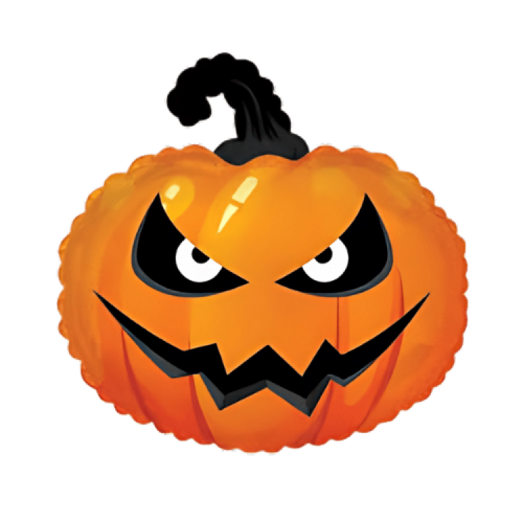 Black and Orange pumpkin