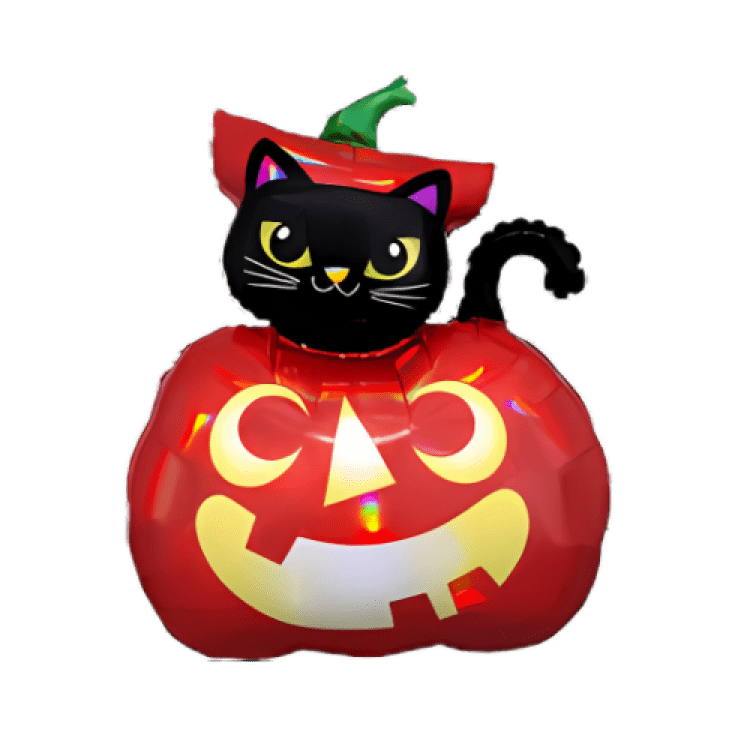 Black cat in a pumpkin costume