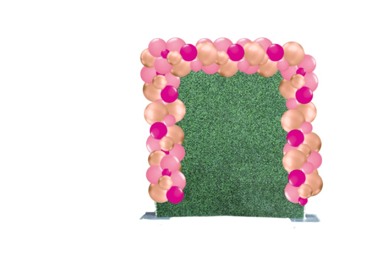 Boxwood Hedge with Organic Full Wrap