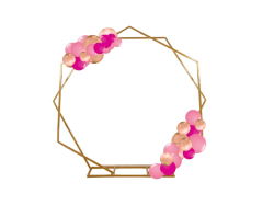 Dual Hexagon Heptagon with 2 Organic