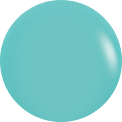 Robins Egg