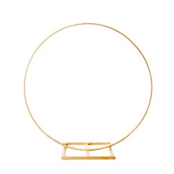 Gold Hoop Rental