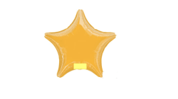 Gold20Star2 1741639975 Gold Star