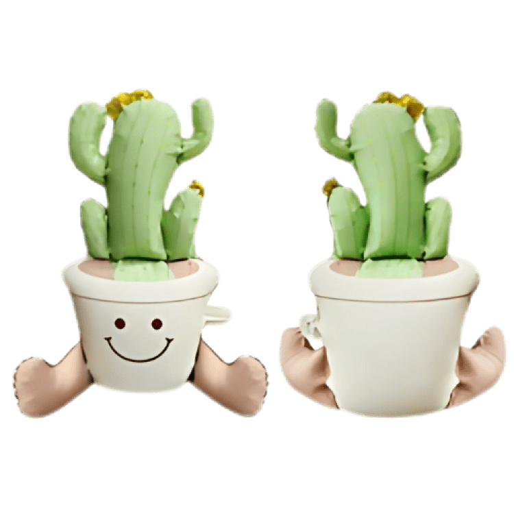 Happy Cactus