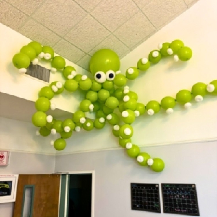 Large Octopus
