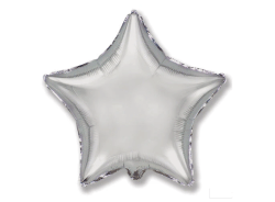 Metallic Silver Star