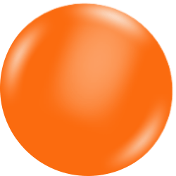 24 Fashion Orange