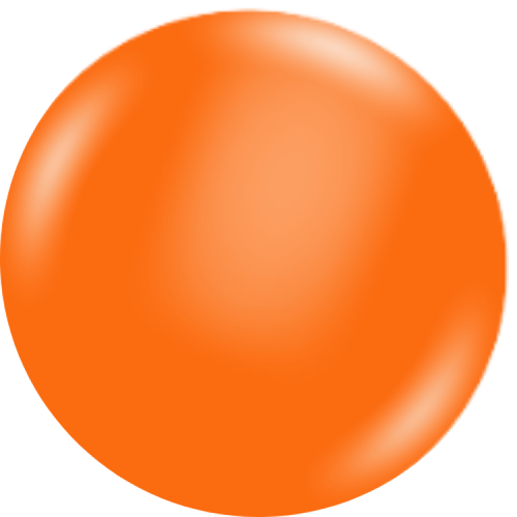 24 Fashion Orange