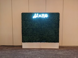 Greenery Wall Rental