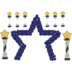 Party Packages Star of the Show