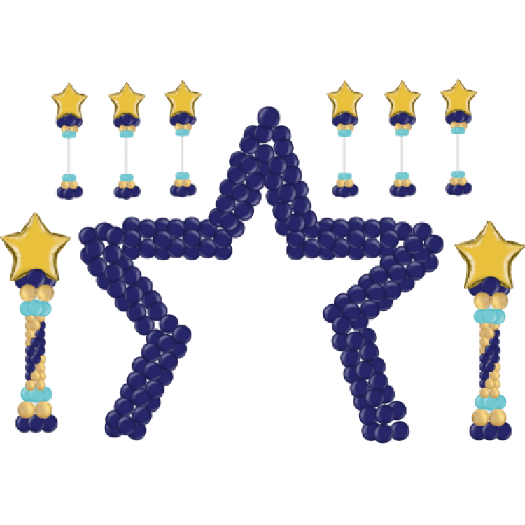 Party Packages Star of the Show