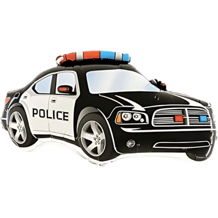 Police Car
