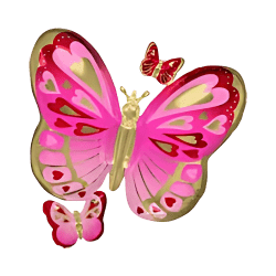 Red and Pink butterfly