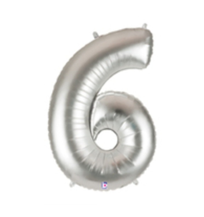 Silver 6