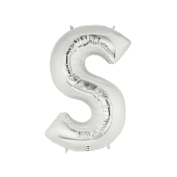 Silver Letter S