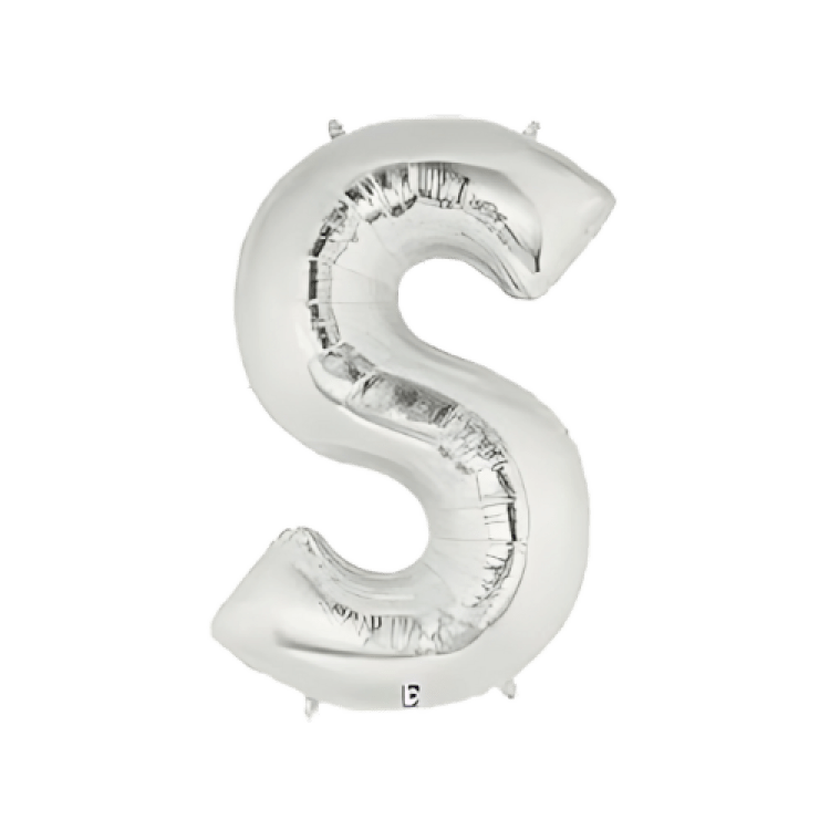 Silver Letter S
