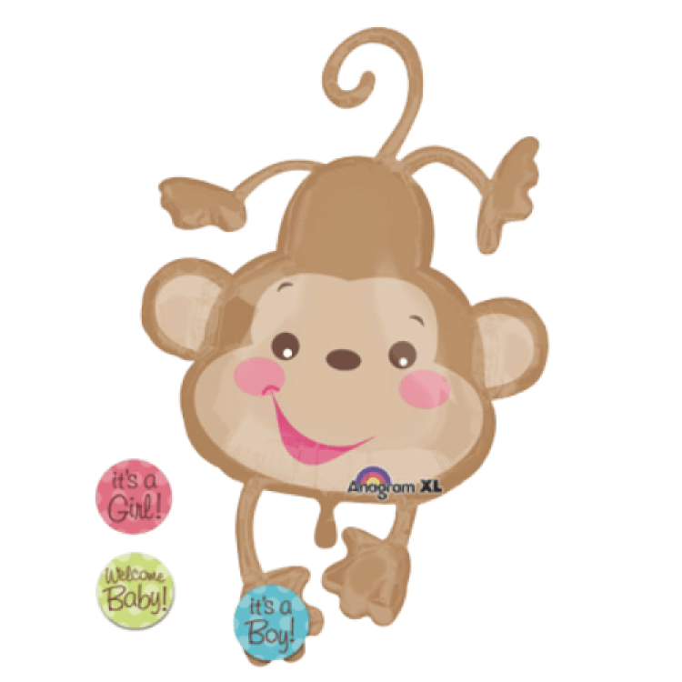 Welcome Baby Monkey