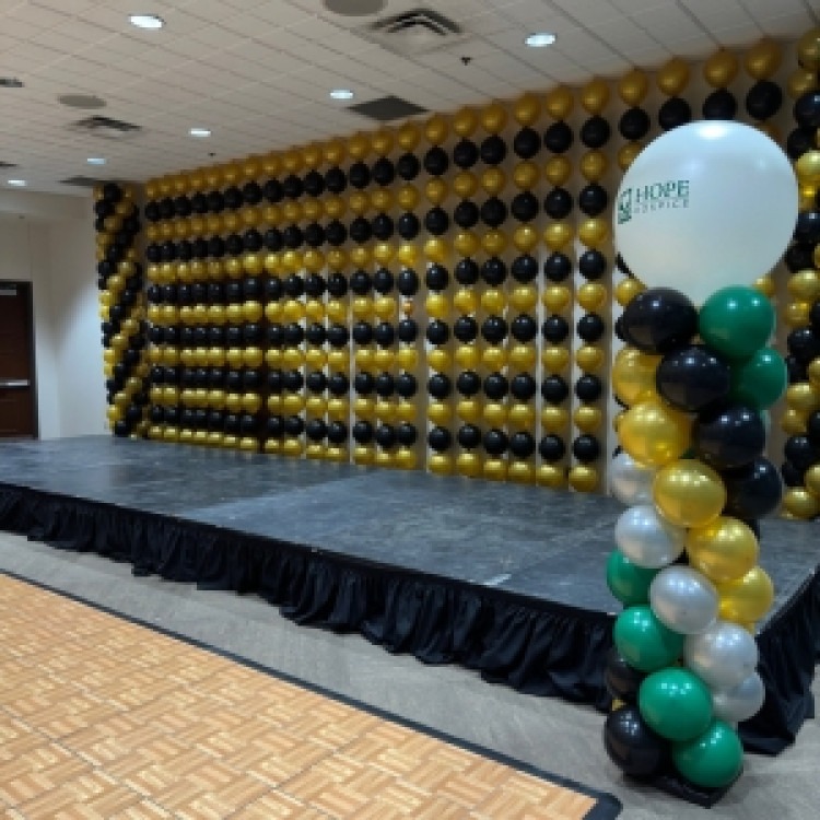 11 Link Curtain