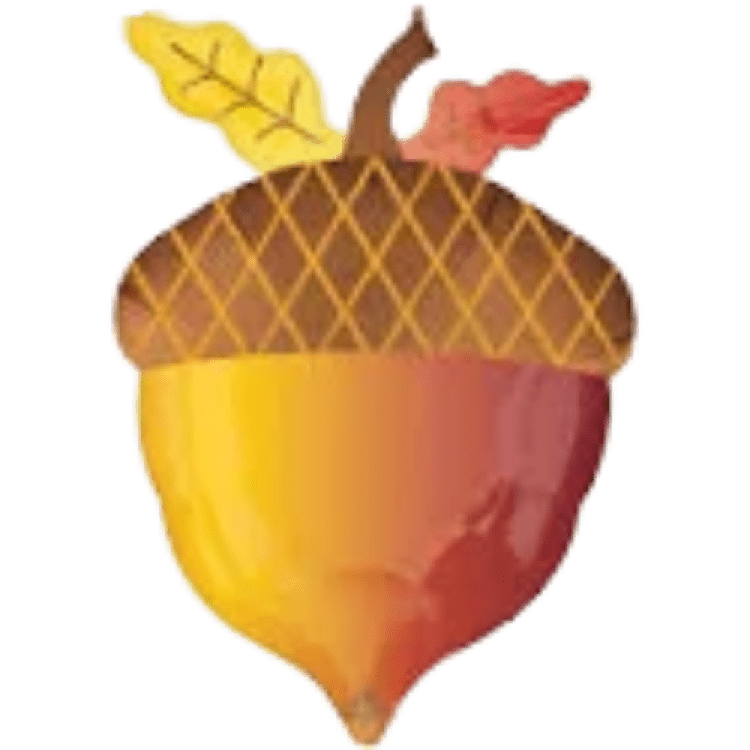 18 inch acorn