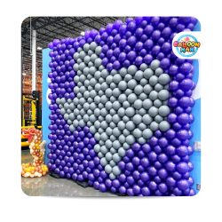 10 x 10 duplet wall