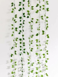 Vines (aritficial)