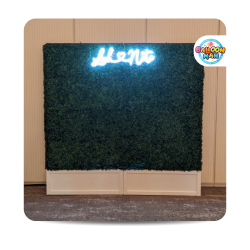 Greenery Wall 8x6.5