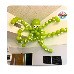 Large Octopus