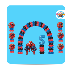 Party Packages Spidey