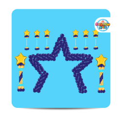 Party Packages Star of the Show