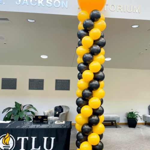 TLU_Balloontower_BalloonMan-Small.png
