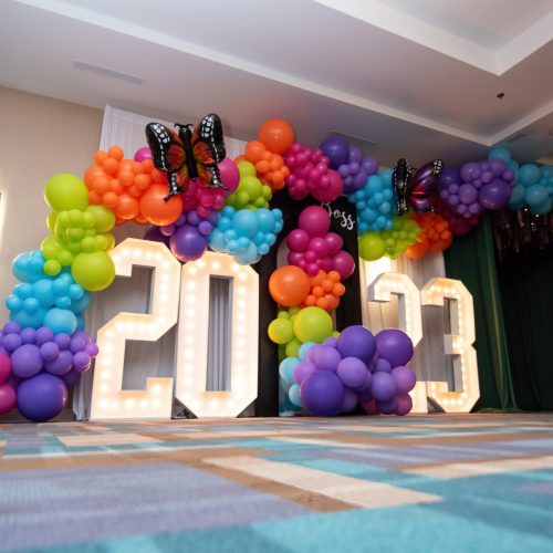 perspective-2023-number-year-organic-buterfly-garland-lights-floor-backdrop-background-photo-display-scaled.jpg